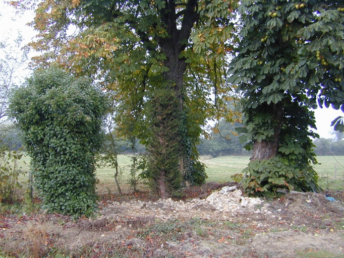 Croix de chemin, V.C n°5, près de l'Ecachoire (Brielles)