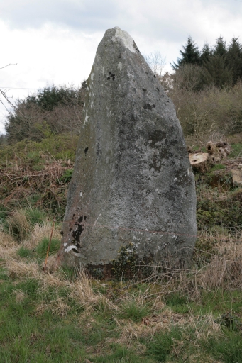 Alignement des menhirs de Leïtan (Brennilis)