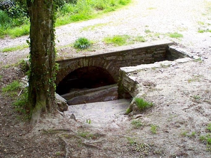 Fontaine de dévotion, Ropenard (Maure-de-Bretagne fusionnée en Val d'Anast en 2017)