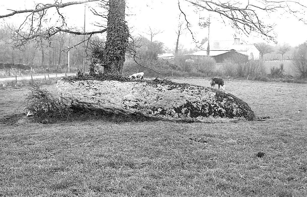 Menhir, Ker Nouail (Locqueltas)