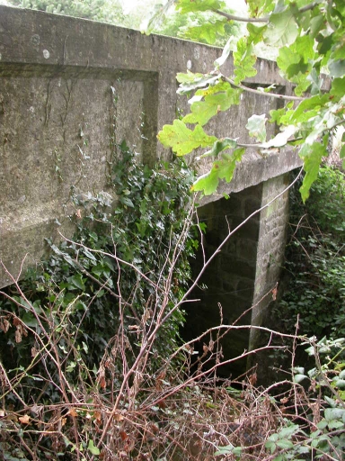 Pont, la Simonnière (Saint-Symphorien)