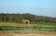 Batterie lourde (4 canons de 15,5 cm sous casemates de type 669) (Re 77) (5 / A.R. 343), Kerizaouen (Ploumoguer)