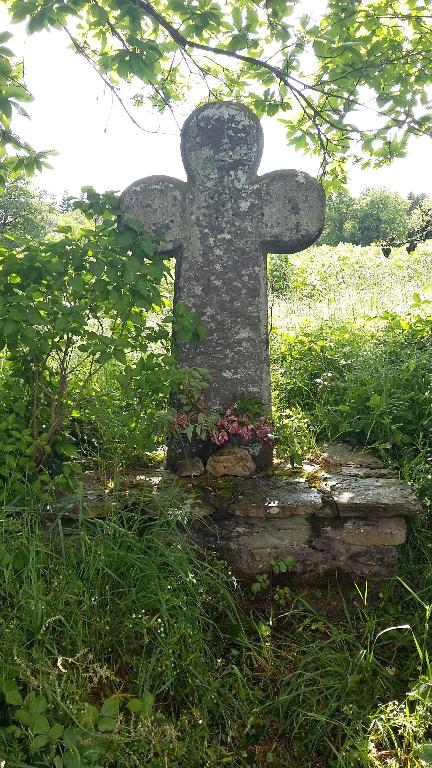 Croix de chemin de Larmelais (Guer)