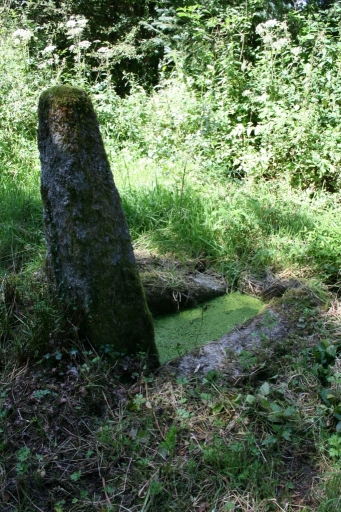 Ensemble de deux fontaines et d'un lavoir, Kerelcun (La Feuillée)