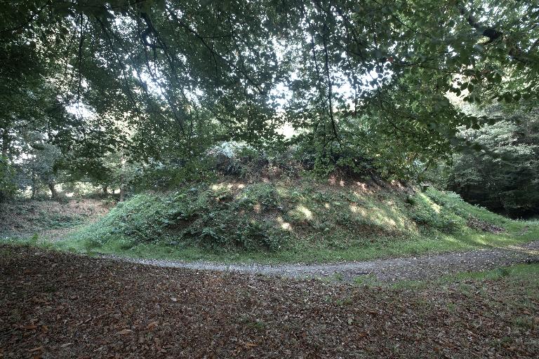 Site archéologique de Lesquélen : motte et basse-cour, La Salle (Plabennec)