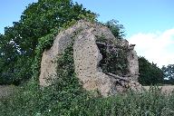 Four à chanvre de Mongusson (Saint-Domineuc)