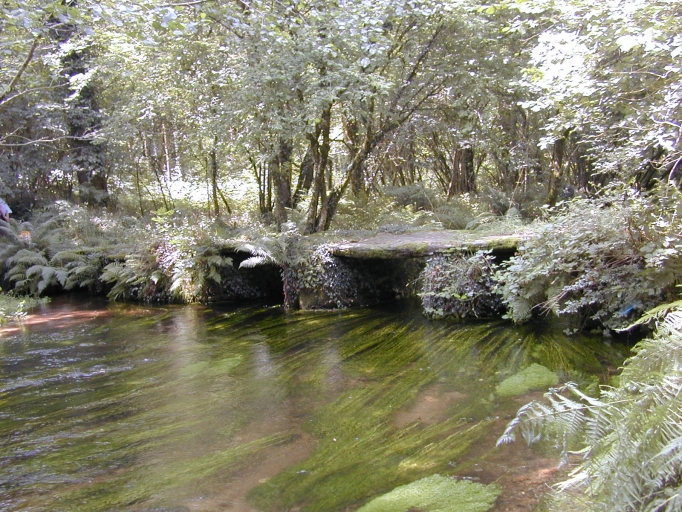 Pont, le Moulin du Bois (Sizun)