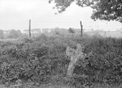 Croix de chemin, Lesquégué (Grand-Champ)