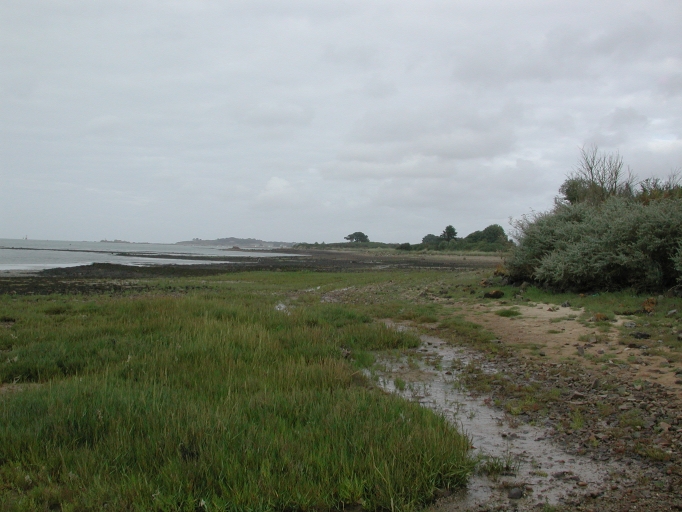 Le front de mer, les espaces littoraux remarquables (Plouguiel)