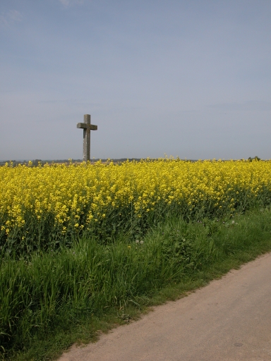 Croix de chemin, la Champagne du Moulin à Vent (Pleugueneuc)