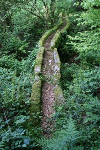 Pont aqueduc, Coatlosquet (Plounéour-Ménez)