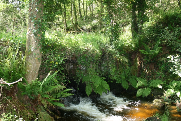 Pont, Guerbiguet (Plounéour-Ménez)