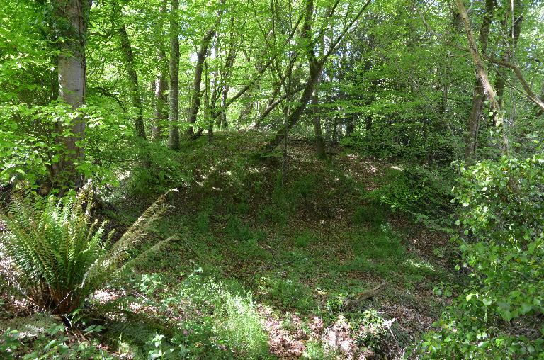 Motte féodale de Kerhervé (Ploubezre)