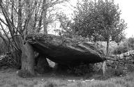Dolmen, La Grée (Plaudren)