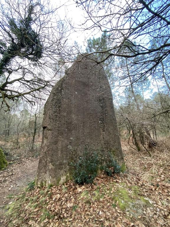 Menhir, au sud de Ranion (Pleucadeuc)
