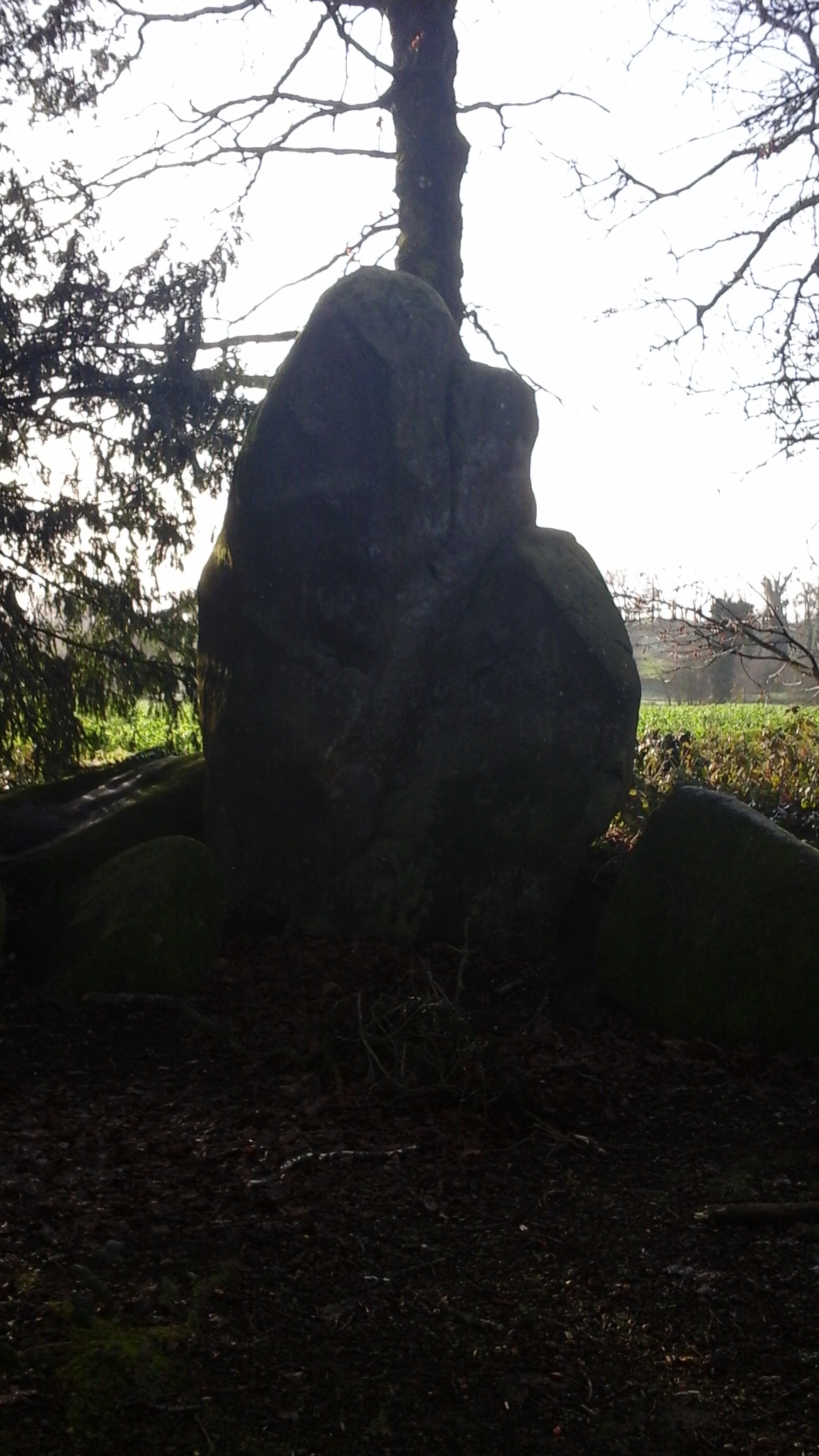 Menhir (Ensemble de 2 Menhirs) dit les Roches du Diable, le Verger (Miniac-sous-Bécherel)