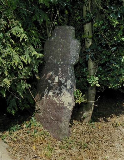Croix de chemin, la Jetais (La Chapelle-Bouëxic)