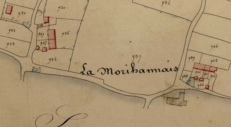 Ecart, la Morihannais (Noyal-sur-Vilaine)