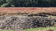Réservoir, dit Lac de Guerlédan (Mûr-de-Bretagne fusionnée en Guerlédan en 2017)