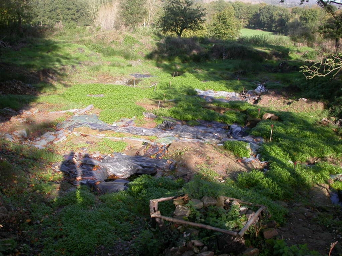 Nymphée, Bazouges-sous-Hédé, la Ville Allée (Bazouges-sous-Hédé fusionnée avec Hédé pour former la commune de Hédé-Bazouges en 2009)