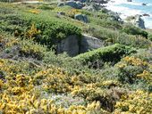 Abri n° 3, Pointe Annalouesten, Diben (Plougasnou)