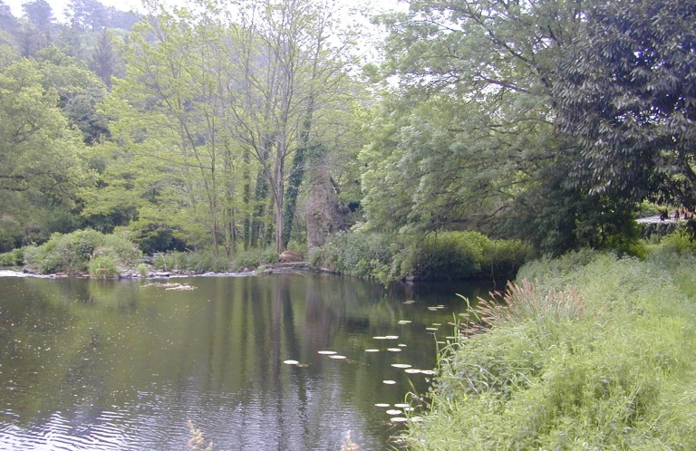 Moulin à eau, le Roc'h (Arzano)