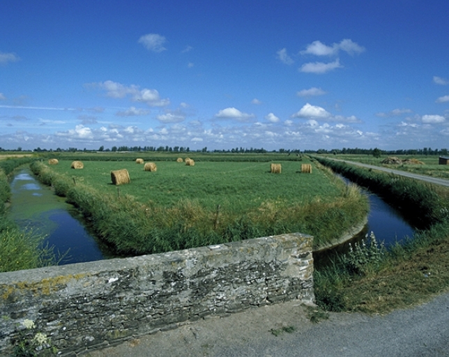 Pont dit du Rosais (La Fresnais)