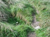 Bunker - poste d'observation et de tir dit Tobruk-Stand (n° 1), Pointe Saint-Samson, Pierre Double (Plougasnou)