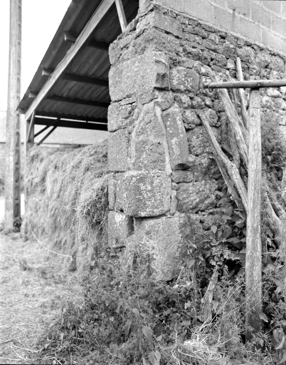 Manoir, Lescanic (Saint-Connan)