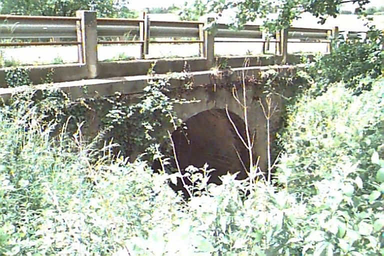 Pont, D 794 (Livré-sur-Changeon)