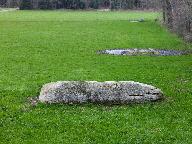 Menhir, Talvé (Pluherlin)