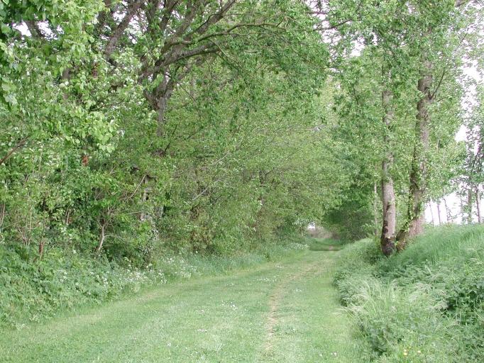 Écart, la Bonnemais (La Chapelle-Thouarault)