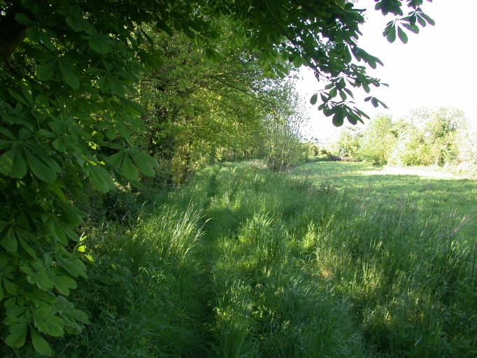 Ancienne voie ferrée d'intérêt local Yffiniac-Matignon, deuxième réseau (Plévenon)