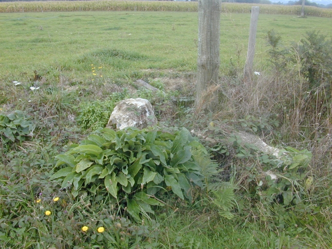 Croix de chemin, V.C n°5, près de la Gérie (Brielles)