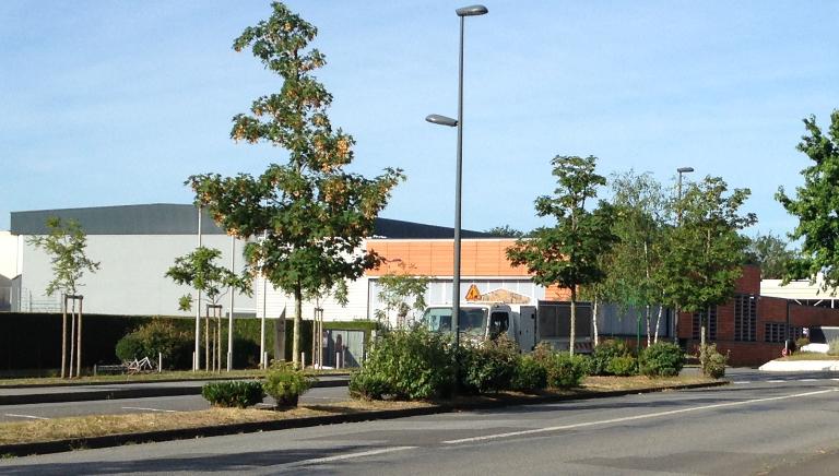 Espace Sportif Bourgchevreuil, boulevard de Dézerseul (Cesson-Sévigné)