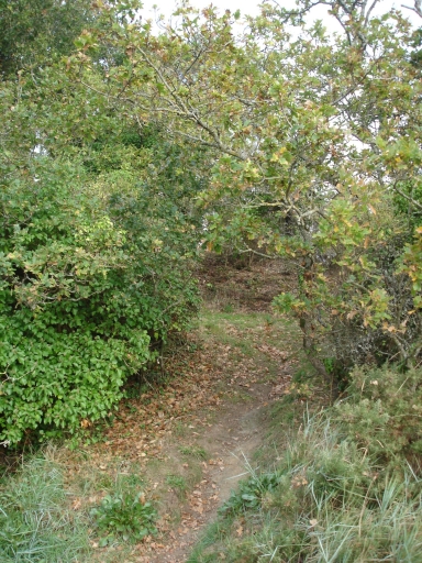 Sentier 2 : sentier de Beg an Ty Meur (Lézardrieux)