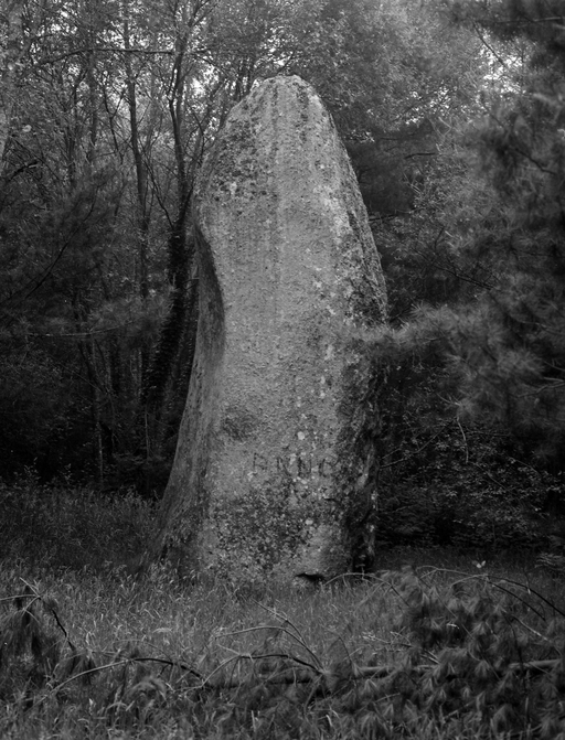Menhir, près du Moustoir (Silfiac)