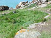 Corps de garde (?), Pointe de Primel, Primel-Trégastel (Plougasnou)