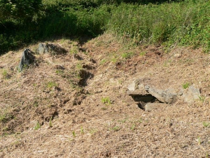 Fontaine Roz ar Feunten, chemin de Traoumeur (Trébeurden)
