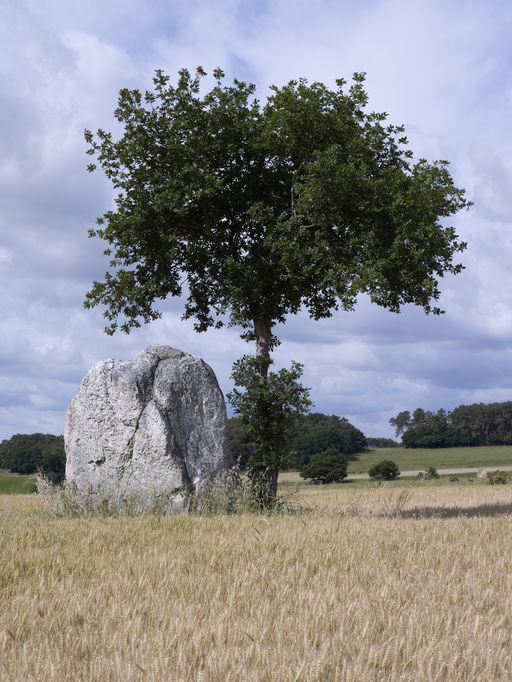 Menhir, dit de la Roche Piquée, au sud du Digoit (Ruffiac)