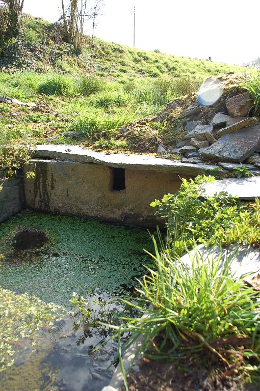 Kanndi de Kergoat (Ploudiry)