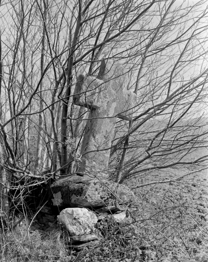Croix de Chemin, la Ville Juhel (Plumieux)