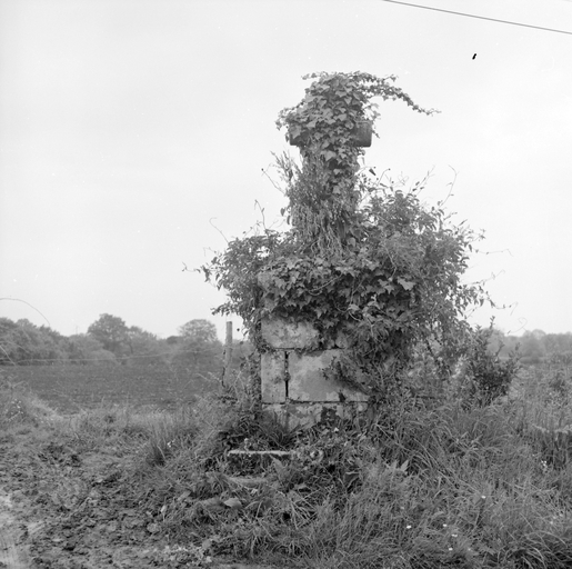 Croix de chemin, Leslegot (Plescop)