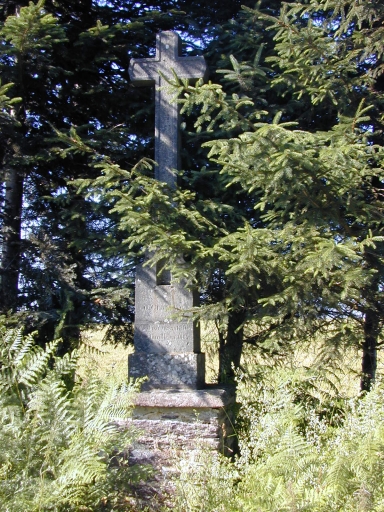 Croix de mademoiselle Salmon, route départementale 38, près de la Garenne (Maxent)