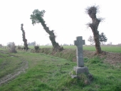 Croix de chemin, la Repichère (Combourg)