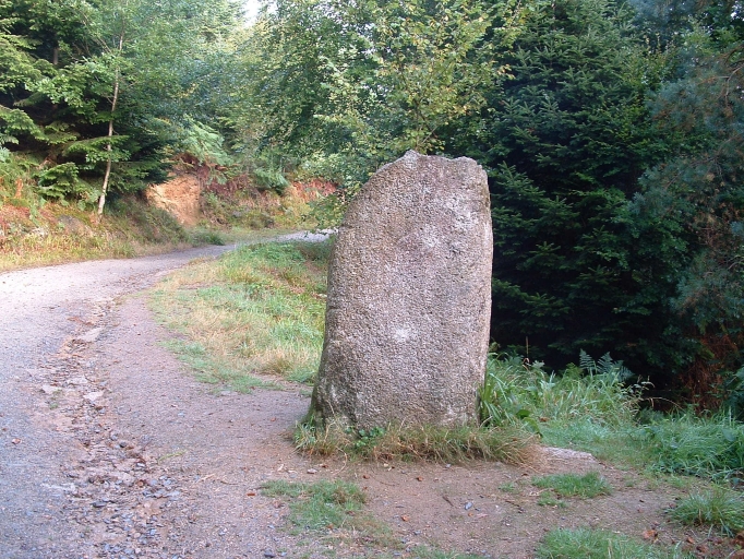 Menhir dit de la Mare aux Sangliers (Huelgoat)
