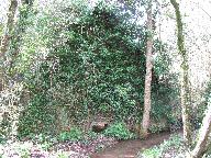 Kanndi Runaher Creis (Saint-Urbain)