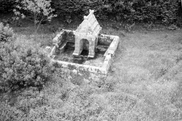 Fontaine de Dévotion Saint-Maur, Saint-Maur (Calanhel)