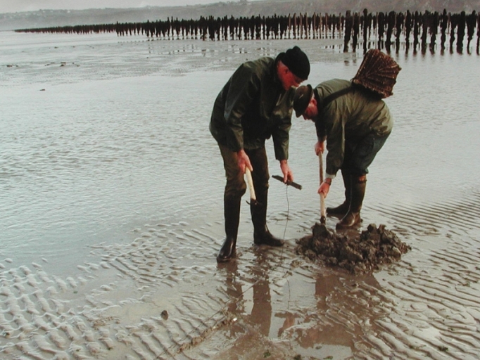 Outil de pêche à pied : ligne de fond (Harouelle)