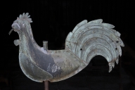 Coq